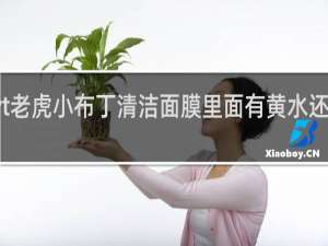 vt老虎小布丁清洁面膜里面有黄水还能用吗