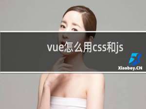 vue怎么用css和js