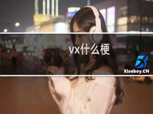 vx什么梗