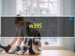 w395