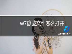 w7隐藏文件怎么打开（windows7如何查看隐藏文件）