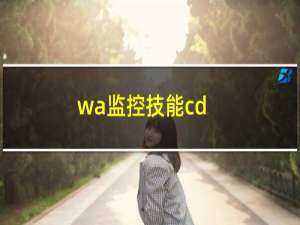 wa监控技能cd