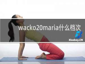 wacko maria什么档次