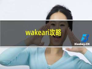 wakeari攻略