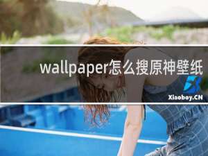 wallpaper怎么搜原神壁纸