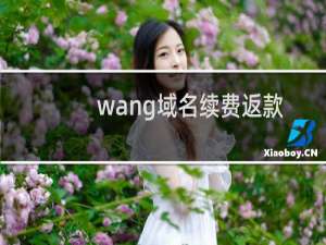 wang域名续费返款-其他问题