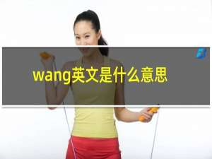 wang英文是什么意思