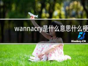 wannacry是什么意思什么梗