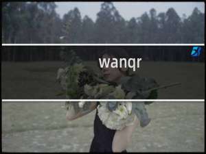 wanqr.com 前几天已经处理的为什么还有提示！