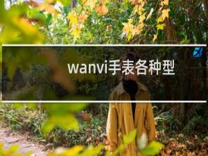 wanvi手表各种型号与报价（wanvi是什么牌子的表）