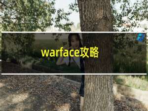warface攻略
