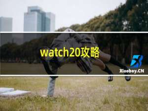 watch 攻略