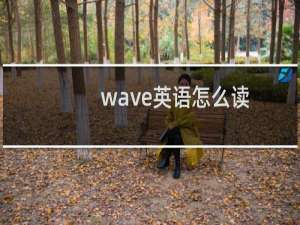 wave英语怎么读