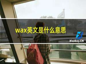 wax英文是什么意思