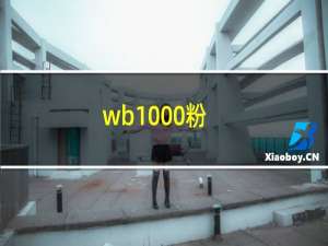 wb1000粉（wb1000）