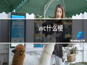 wc什么梗