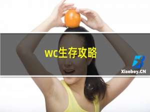 wc生存攻略