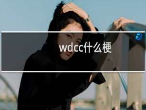 wdcc什么梗？什么梗