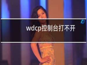 wdcp控制台打不开-其他问题