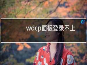 wdcp面板登录不上-其他问题