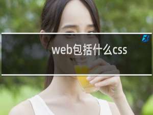 web包括什么css