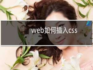 web如何插入css