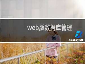web版数据库管理