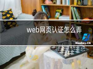 web网页认证怎么弄