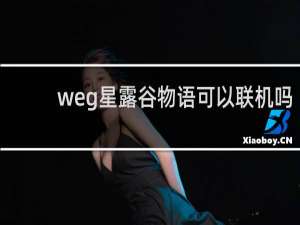 weg星露谷物语可以联机吗
