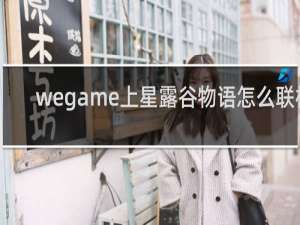 wegame上星露谷物语怎么联机