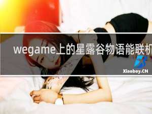 wegame上的星露谷物语能联机吗