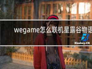 wegame怎么联机星露谷物语
