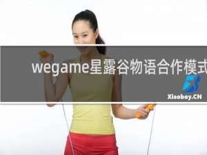 wegame星露谷物语合作模式