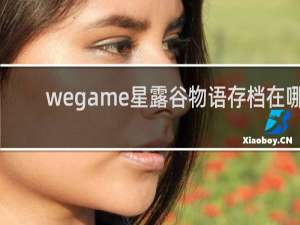 wegame星露谷物语存档在哪
