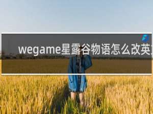 wegame星露谷物语怎么改英文