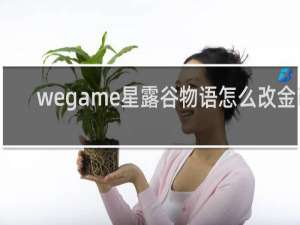 wegame星露谷物语怎么改金币