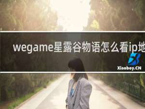 wegame星露谷物语怎么看ip地址