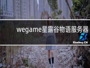 wegame星露谷物语服务器