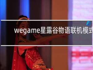 wegame星露谷物语联机模式