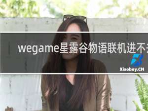 wegame星露谷物语联机进不去
