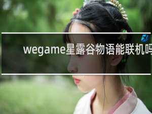 wegame星露谷物语能联机吗