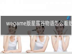 wegame版星露谷物语怎么看版本