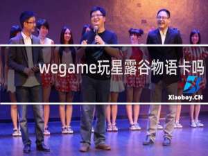 wegame玩星露谷物语卡吗