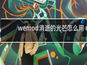 wemod消逝的光芒怎么用