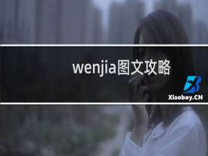 wenjia图文攻略