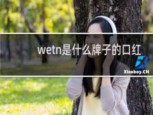 wetn是什么牌子的口红