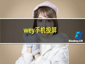 wey手机投屏