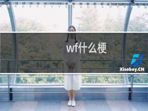 wf什么梗