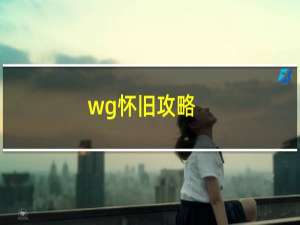 wg怀旧攻略