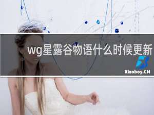 wg星露谷物语什么时候更新